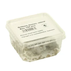 STOFFELS - Grillons alimentation reptiles, taille M, environ 120 pièces