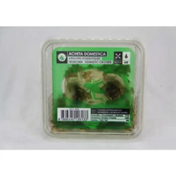 STOFFELS - Grillons reptiles, taille M, environ 50 pièces