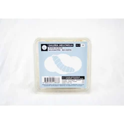 STOFFELS - Teignes de ruche pour alimentation reptiles, 50 pièces