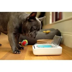 SUREFLAP - Surefeed distributeur de nourriture automatique pour chat anti-odeur - blanc (livré avec un bol simple)