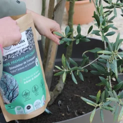 TERRA FERTILIS - Fertilisant arbres et arbustes à base de mycorhizes - 2,5 kg