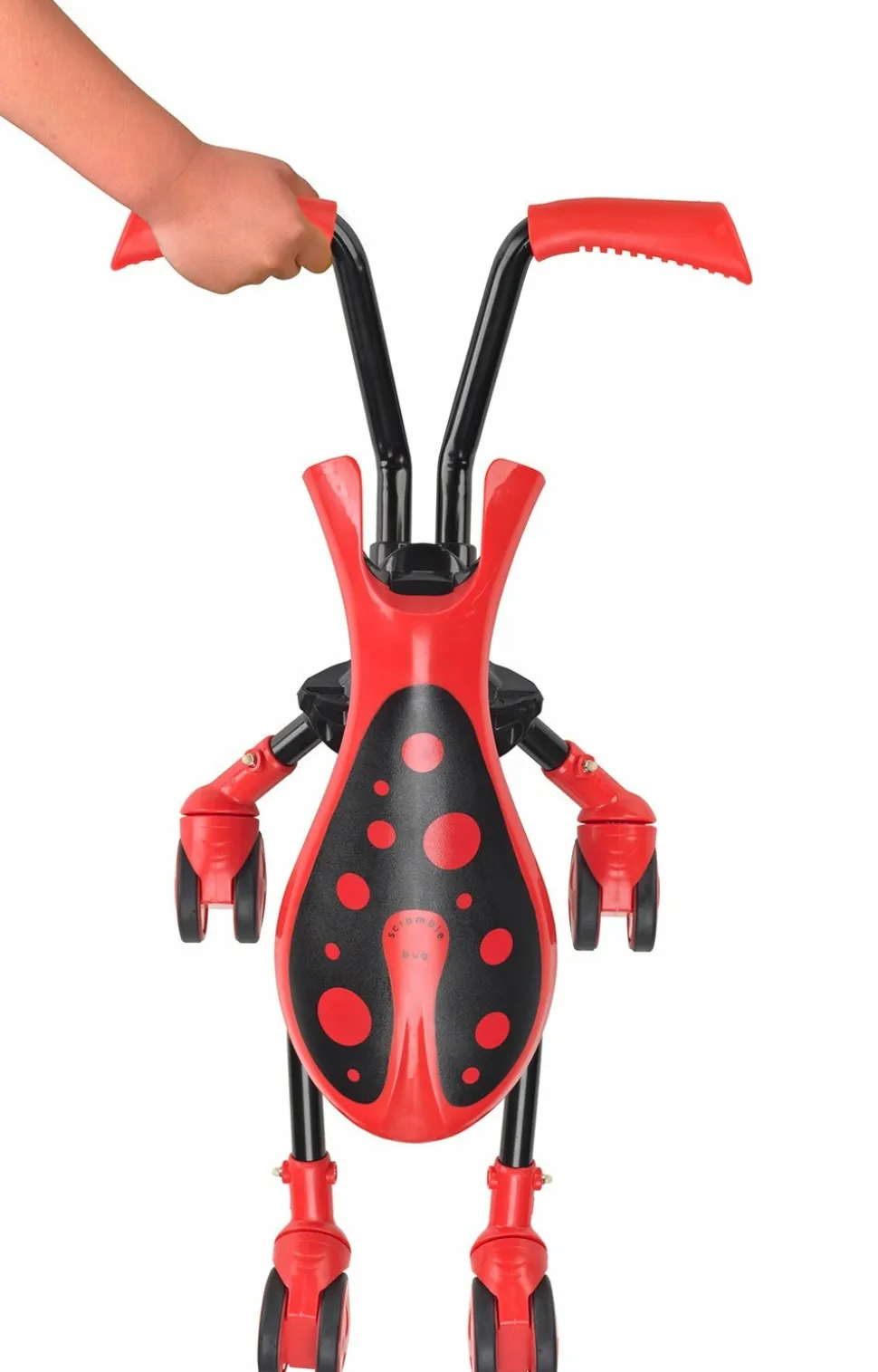 THE BUGS - Scramblebug beetle