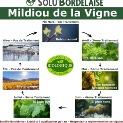 TOUT POUR LES NUISIBLES - Solu'bordelaise - 5 kg de bouillie bordelaise - mildiou de la vigne - utilisable agriculture biologique - 5 sachets 1kg