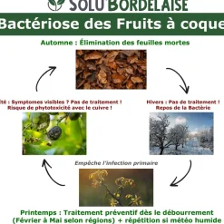 TOUT POUR LES NUISIBLES - Solu'bordelaise - 5 kg de bouillie bordelaise - bactériose des fruits à coque - utilisable agriculture biologique - 5 sachets de 1kg