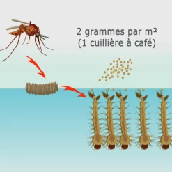 TOUT POUR LES NUISIBLES - Solu'bti - moustiques - 400 gr de larvicide biologique