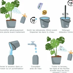 TOUT POUR LES NUISIBLES - Solunéma - thrips - nématodes (sf) - 5 millions pour 25 pots ou 10 m²