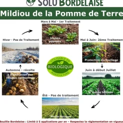 TOUT POUR LES NUISIBLES - Solu'bordelaise - 500 g de bouillie bordelaise - mildiou de la pomme de terre - utilisable agriculture biologique
