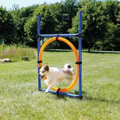 TRIXIE - Cerceau d'agilité pour chiens 115 x 3cm plastique