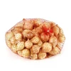 TRUFFAUT - Bulbes d'oignons 'Riesen' en filet - 250 g
