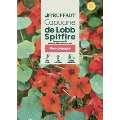 TRUFFAUT - Capucine grimpante hybride De Lobb Spitfire : en sachet