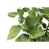 TRUFFAUT - Citronnier, 1/4 Tige - Pot 4/5L