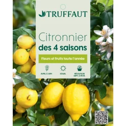 TRUFFAUT - Citronnier, 1/4 Tige - Pot 4/5L