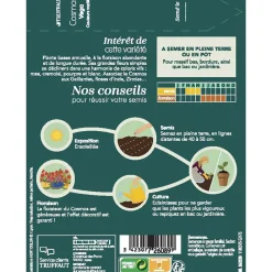 TRUFFAUT - Cosmos nain Vega couleur variée : en sachet