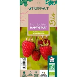 TRUFFAUT - Framboisier 'Happystar®' AB : pot 1,5L