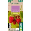 TRUFFAUT - Framboisier 'Happystar®' AB : pot 3L
