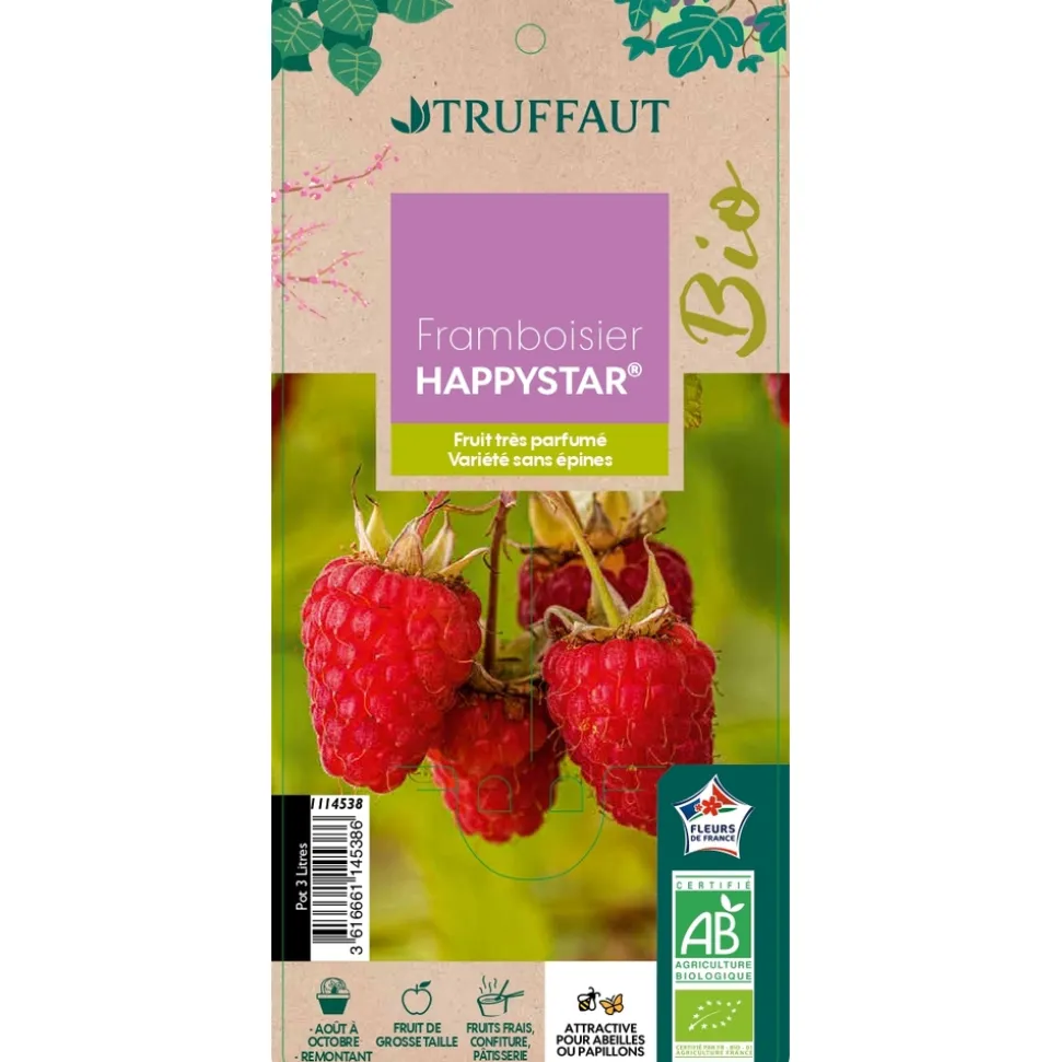 TRUFFAUT - Framboisier 'Happystar®' AB : pot 3L