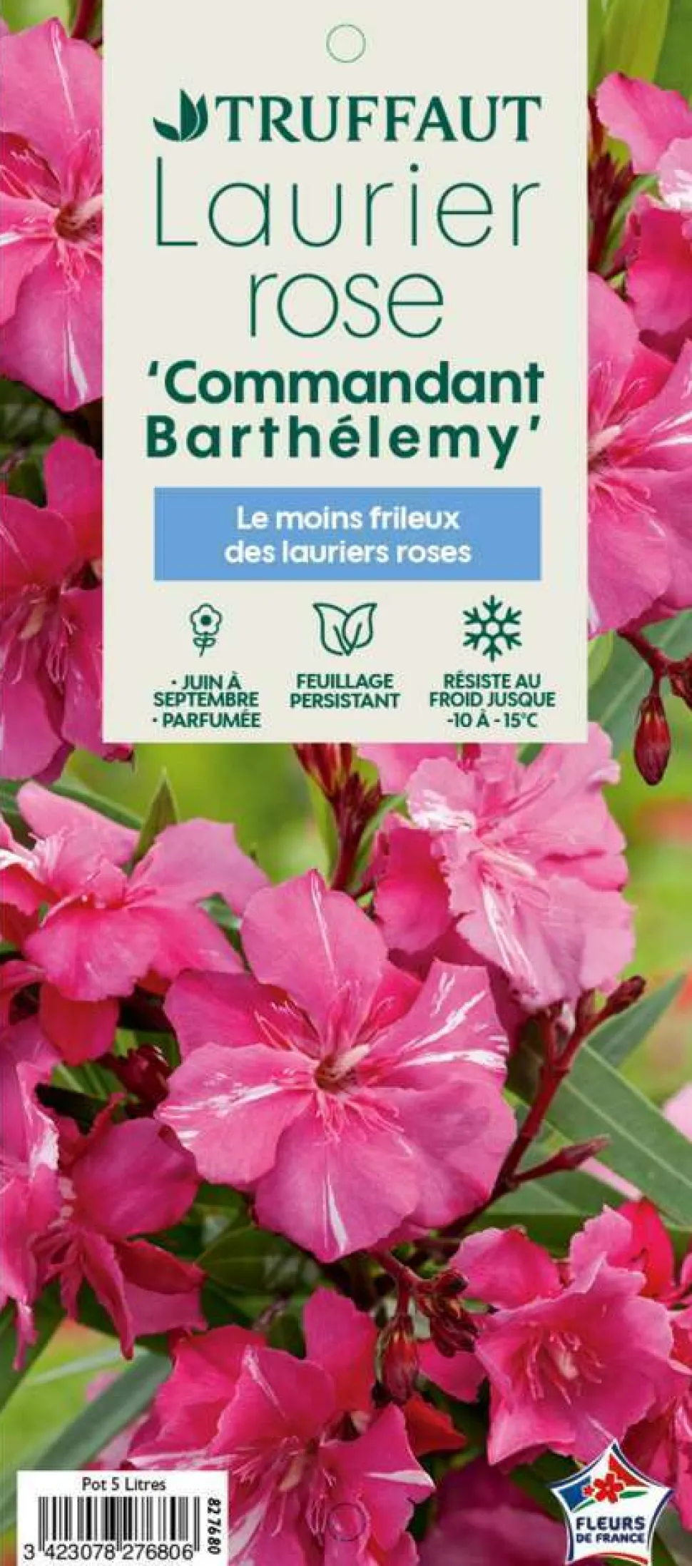 TRUFFAUT - Nerium Oleander Commandant Barthelemy pot 5L