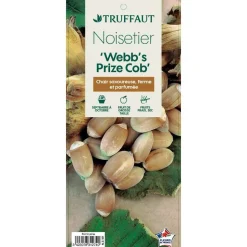TRUFFAUT - Noisetier 'Webb's Prize Cob':pot 5L
