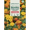 TRUFFAUT - Oeillet d'inde bonita varié 1 g