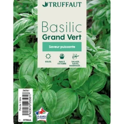 TRUFFAUT - Plant de basilic grand vert : pot de 1 litre