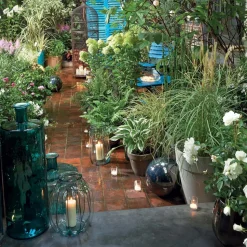 TRUFFAUT - Plant de menthe verte : pot de 1 litre