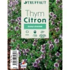 TRUFFAUT - Plant de thym citron : pot de 1 litre