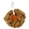 TRUFFAUT - Plants de pommes de terre 'Ratte' en filet x25