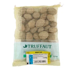 TRUFFAUT - Plants de pommes de terre 'Bintje' en sac - 1,5 kg