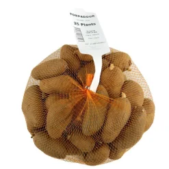 TRUFFAUT - Plants de pommes de terre 'Pompadour' en filet x25