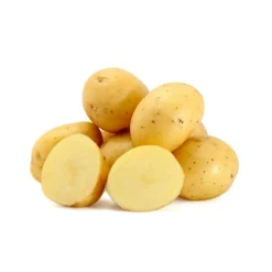 TRUFFAUT - Plants de pommes de terre 'Bintje' en filet x10