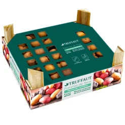 TRUFFAUT - Plants de pommes de terre 'Sirtema' en clayette x60
