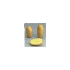 TRUFFAUT - Plants de pommes de terre 'Samba' en filet x25