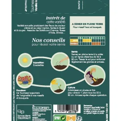 TRUFFAUT - Tournesol vanilla ice 2g
