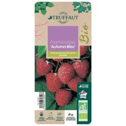 TRUFFAUT AB - Framboisier 'Autumn Bliss' bio - pot de 1,5L