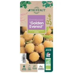 TRUFFAUT AB - Framboisier 'Golden Everest' bio - pot de 1,5L