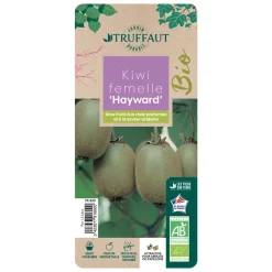 TRUFFAUT AB - Kiwi chinensis 'Hayward' femelle bio : pot de 1,5 litres