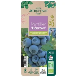 TRUFFAUT AB - Myrtillier 'Darrow' bio : pot de 3 litres