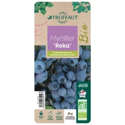 TRUFFAUT AB - Myrtillier 'Reka' bio : pot de 1,5 litres