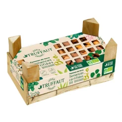 TRUFFAUT AB - Plants de pommes de terre 'Charlotte' Bio en clayette x60