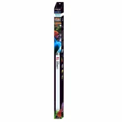 Tube lumivie blanc 60 cm