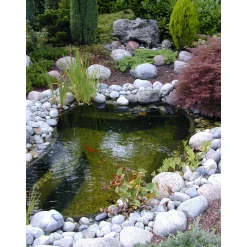 UBBINK - Bassin Start 500 litres