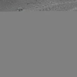 UBBINK - Bâche de bassin PVC 0,5 mm : 6x5m, 30m²
