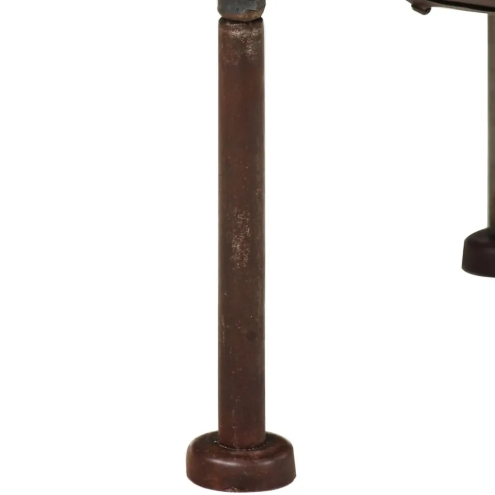 VIDAXL - Foyer rustique ø 40 cm fer
