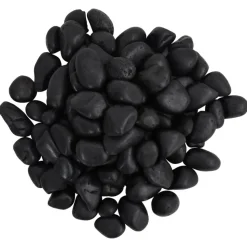 VIDAXL - Galets polis 25 kg noir 2-5 cm