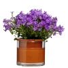 WET POT SYSTEMS - Pot à réservoir d’eau en terre cuite – Taille S