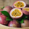 WILLEMSE FRANCE - Fruit de la passion frederick - le pot / ø 9cm / hauteur livrée 20-40cm, vendu par lot de 2