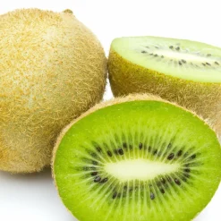 WILLEMSE FRANCE - Kiwi jenny - le pot / ø 13cm / hauteur livrée 20-30cm.