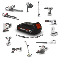 X-PERFORMER - Scie à ebrancher taille haies sur perche 20v xperformer xp2psth20li - outil portatif -2 batteries 2ah et double chargeur