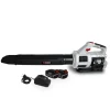 X-PERFORMER - Souffleur cyclonique sur batterie x-performer xpse40libl-2b - 40v - air 198 km/h - 2x batteries xpbat4a + chargeur