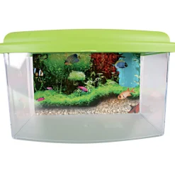 ZOLUX - Boîte de transport aqua travel 22 cm